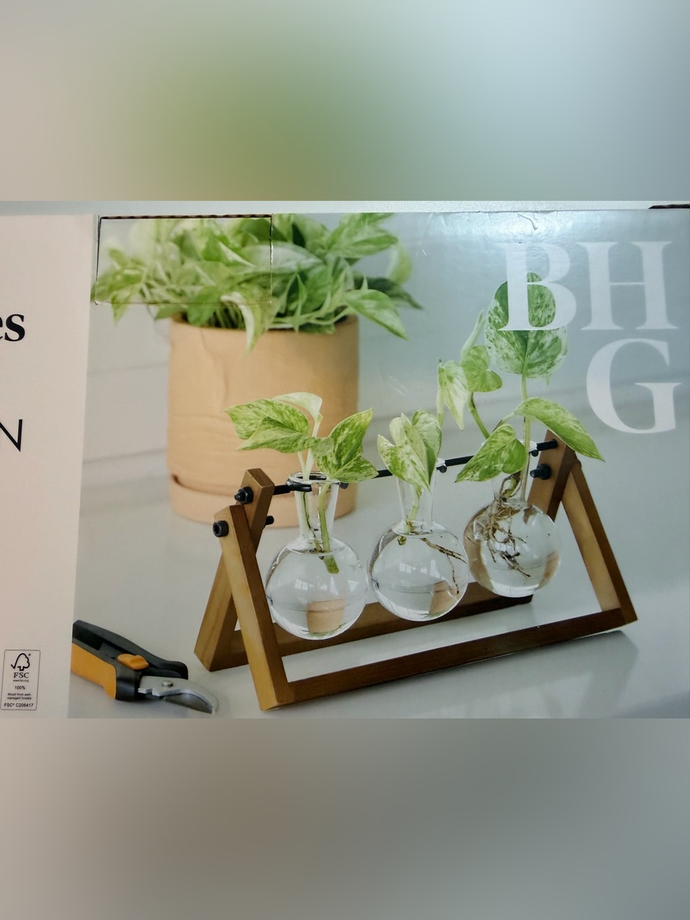 Better Homes & Gardens Propagation Station NIB | Boho Wood & Glass Plant Stand